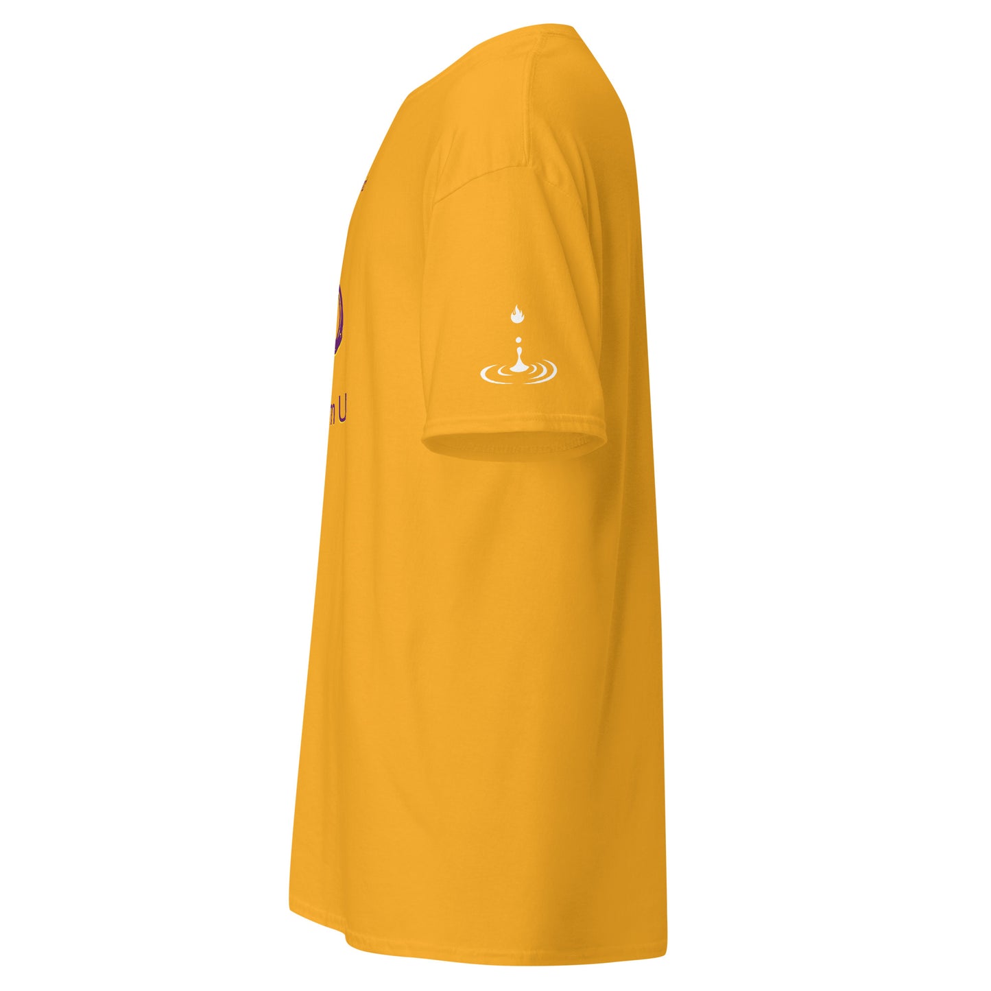 Men's classic tee lock em up royal