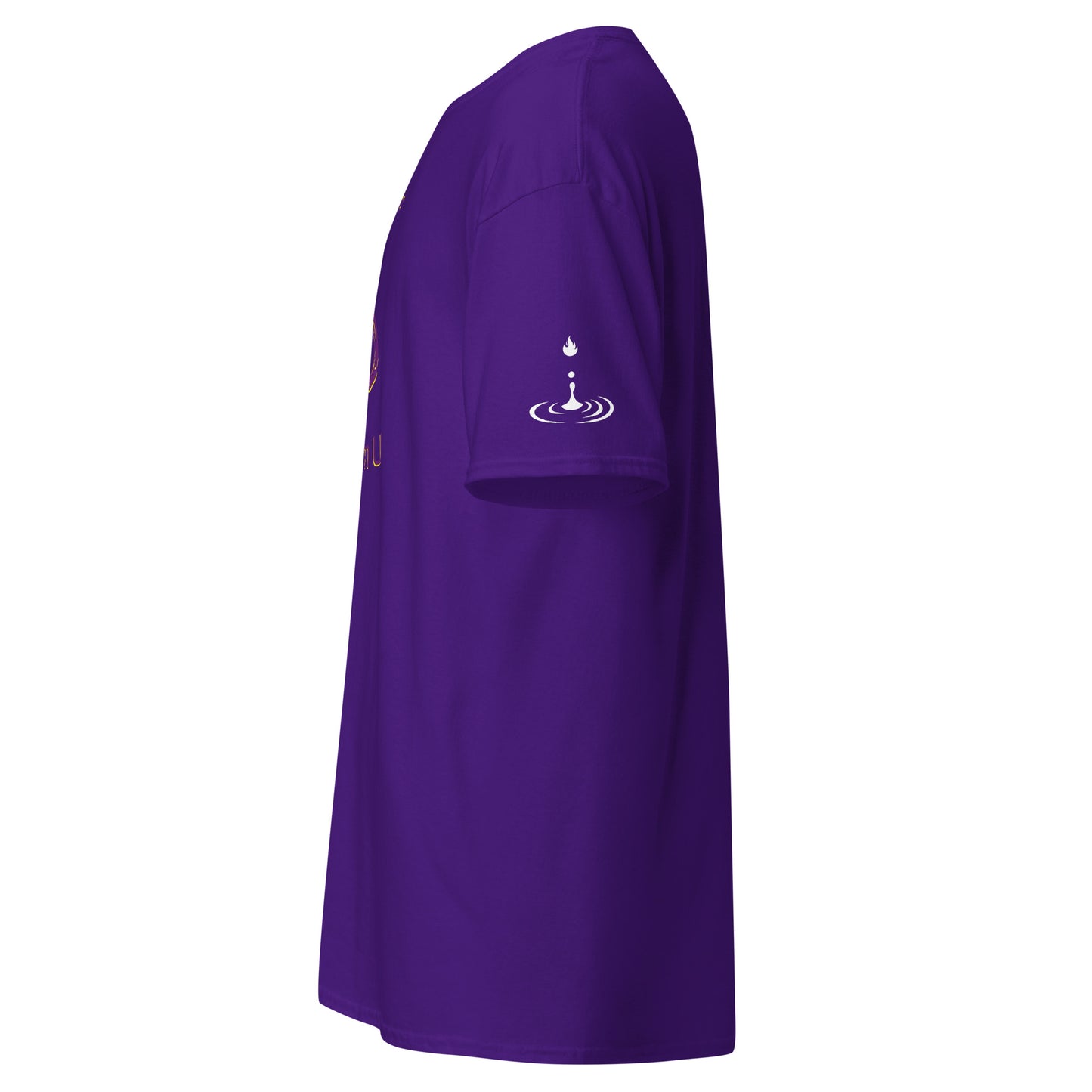 Men's classic tee lock em up royal