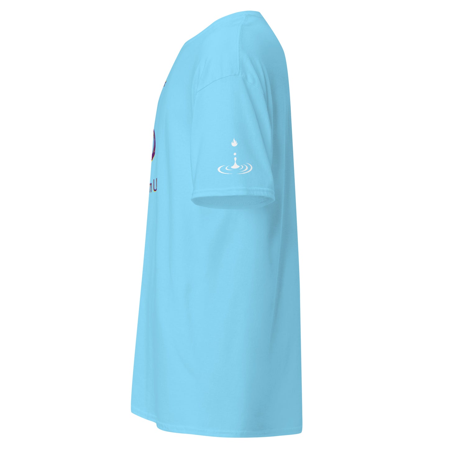 Men's classic tee lock em up royal
