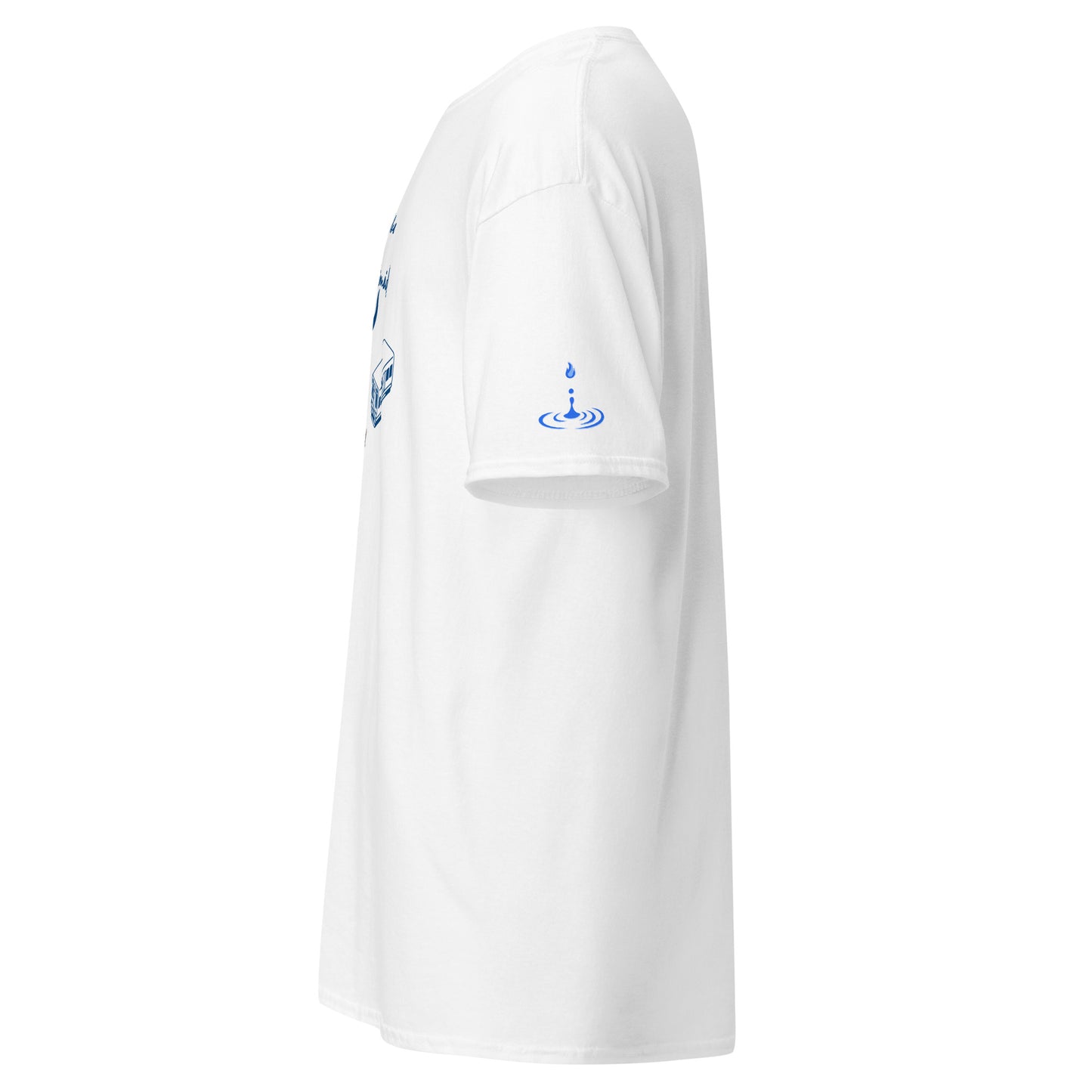 Men's classic tee Chi type blue